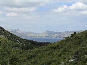 IMG_6609 (Medium)